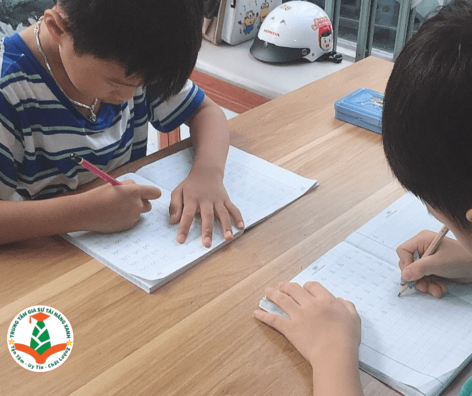 dạy kèm văn hóa - gia sư tài năng xanh